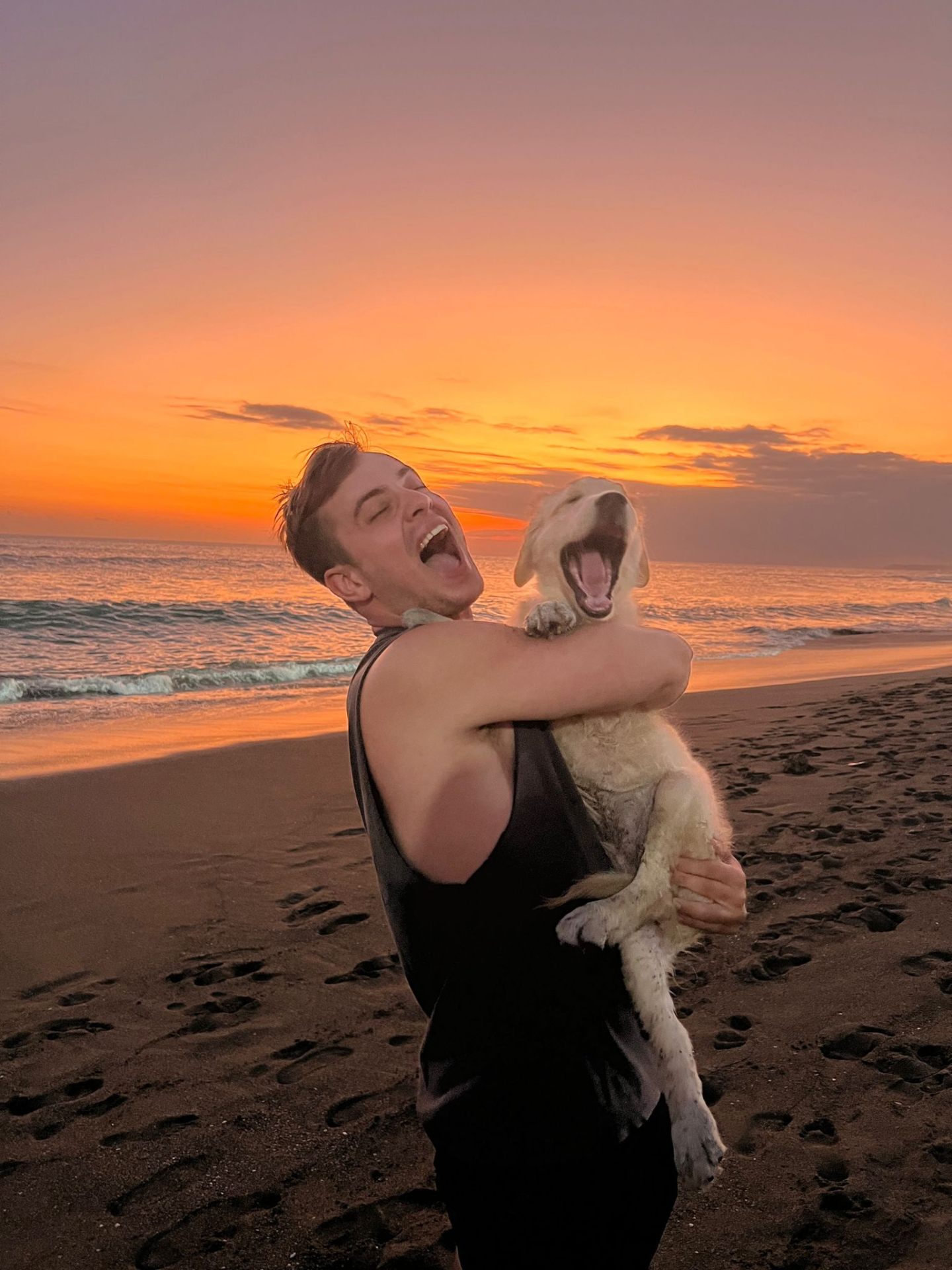 Wanner beach sunset with dog